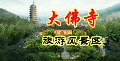 嗯啊嗯啊大鸡巴操骚逼视频中国浙江-新昌大佛寺旅游风景区